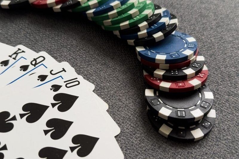 Halaplay Social Betting In Canada: Exploring Features And Trends